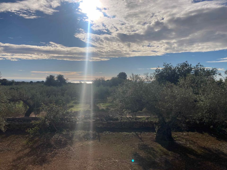 Finca i El Perello, Tarragona - bilde 3